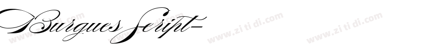 Burgues Seript字体转换